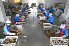 槟榔工作的前景怎么样？