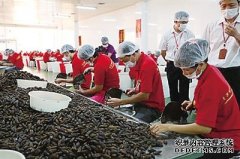 海南省外游客感叹琼中槟榔美景尝试槟榔农家乐
