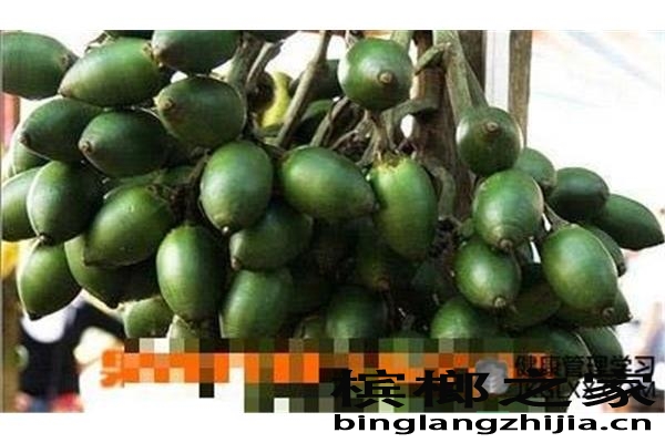 广东卖槟榔青果的地方