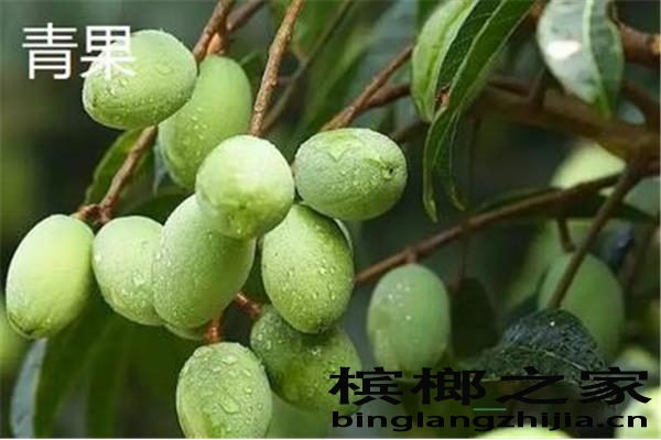 槟榔青果现加工干果有哪些