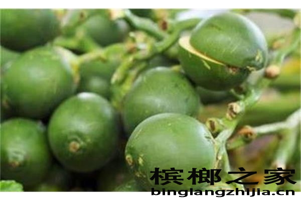 槟榔青果现加工干果有哪些
